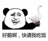 好鹅啊，快请我吃饭 金馆长 大白鹅 熊猫