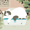 背景 卡通 清新 猫咪