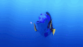 水母 电 鱼 蓝色