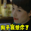 soogif soogif出品 狗子我想你了 我的前半生 马伊琍