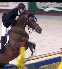 马术 Equestrianism sports