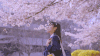美女 风景 落叶 唯美