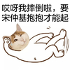 抱抱 可爱 猫猫 哎呀我摔倒啦要，宋促基抱抱才能起