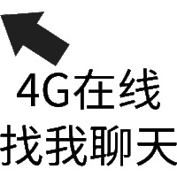 状态表情 4G在线找我聊天