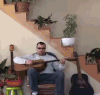 猫咪 弹琴 搞笑 滑稽
