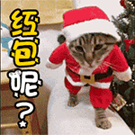 猫咪 走路 圣诞 红包呢