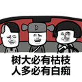 暴漫 开车 树大必有枯枝 人多必有白痴 斗图