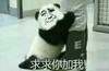 祈求 可怜  跪了 求求你加我吧