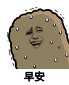 金馆长 猫屎 流汗 晚安