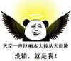 大帅 斗图 搞笑 滑稽