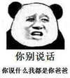 你别说话 你说什么 我都是你爸爸 熊猫人