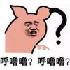 表情 耳朵 问号 呼噜噜呼噜噜