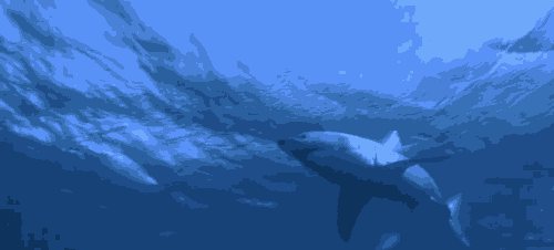 海洋 迷幻 鲨鱼 低像素