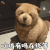 萌宠 狗 吃鸡 有吗 在线等 soogif soogif出品