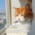 喜欢的猫不出现出现的猫不喜欢   沮丧  猫咪  搞笑   斗图