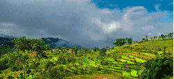云 南亚 天空 尼泊尔 延时摄影 梯田 植物 纪录片 风 风景