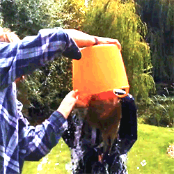 爱德华·克里斯多弗·希兰艾德·希兰  ED+sheeran 冰桶挑战 欧美歌手