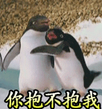 你报不报我 企鹅 抱抱