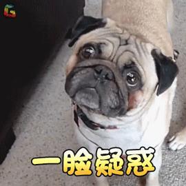 疑惑GIF动态图_疑惑表情_疑惑GIF动图-SOO李思捷动态图片表情包图片