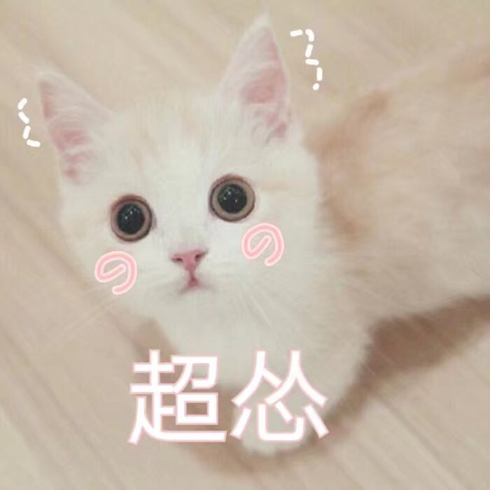 萌宠gif猫星人gif超怂gif无辜gif呆萌gif搞怪gif