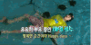 李光洙 RunningMan 长颈鹿 自在