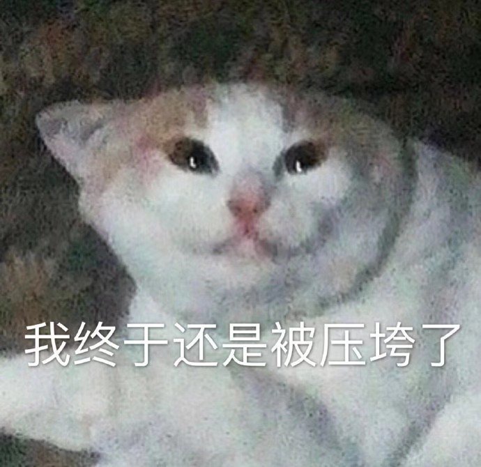 萌宠gif猫星人gif我终于还是压垮了gif无奈gif搞怪gif呆萌gif