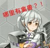禽兽 斗图 搞笑 滑稽
