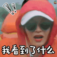 花儿与少年 江疏影 我看到了什么 震惊 吓 惊恐 soogif soogif出品