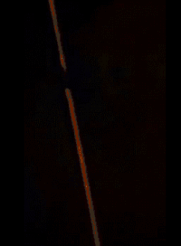 上厕所 马桶 纸巾 弯腰