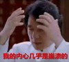 成龙 我的内心几乎是崩溃的 抓狂 不开心