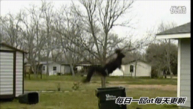 空中飞人GIF动态图_空中飞人表情_空中飞人微信v飞人表情图图片