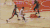 罗斯 加索尔 乔金诺阿 nba篮球