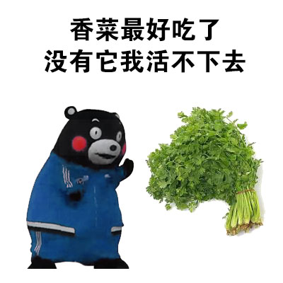 熊本熊 萌宠 香菜最好吃 没它我活不了