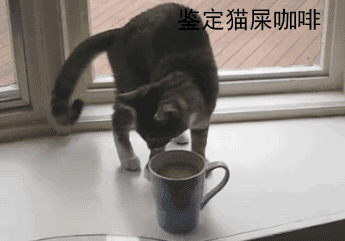 猫咪 窗台 咖啡 鉴定猫屎咖啡