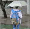 王源 TFBOYS 小鲜肉 下雨