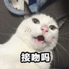 萌宠 猫星人 接吻吗 好奇 呆萌 可爱