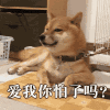 狗狗 趴着 脖套 爱我你怕了吗