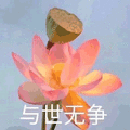 莲花 沙雕莲花 与世无争