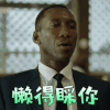 绿皮书 雪丽 懒得睬你 拒绝