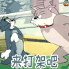 猫和老鼠 打架 soogif soogif出品