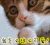 可爱 我怎么这么可爱 萌宠 猫咪