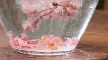 水珠 粉色 透明 杯子
