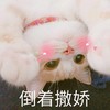 萌宠 猫星人 倒着撒娇 害羞 呆萌 可爱