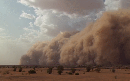 地球脉动,恶劣,沙尘暴,沙漠,纪录片