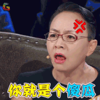 演员的诞生 宋丹丹 你就是个傻瓜 生气 soogif soogif出品