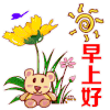 太阳 花朵 蝴蝶 早上好