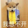 萌宠 汪星人 我想不开 难受 呆萌 可爱