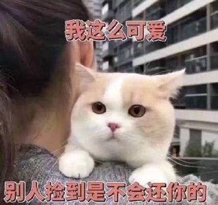 大杂烩 文字表情包 搞笑 逗 魔性