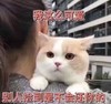 大杂烩 文字表情包 搞笑 逗 魔性