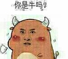 金馆长 搞笑 尔康 你是牛吗